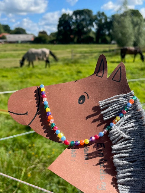 Pferde Einladung mit Halfter