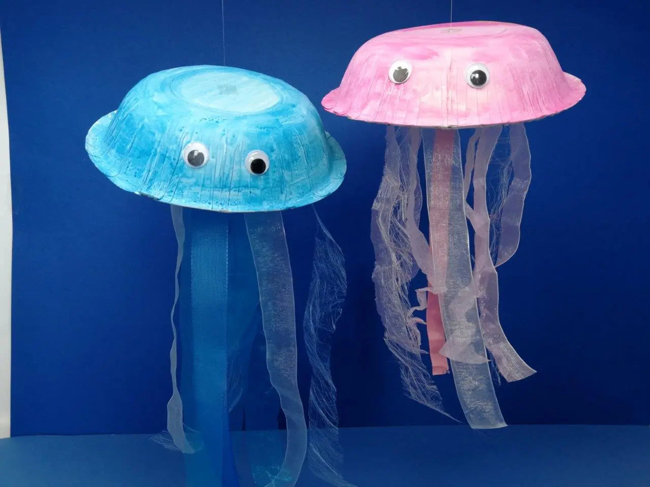 Qualle Event Kids