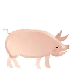Farm Event Kids