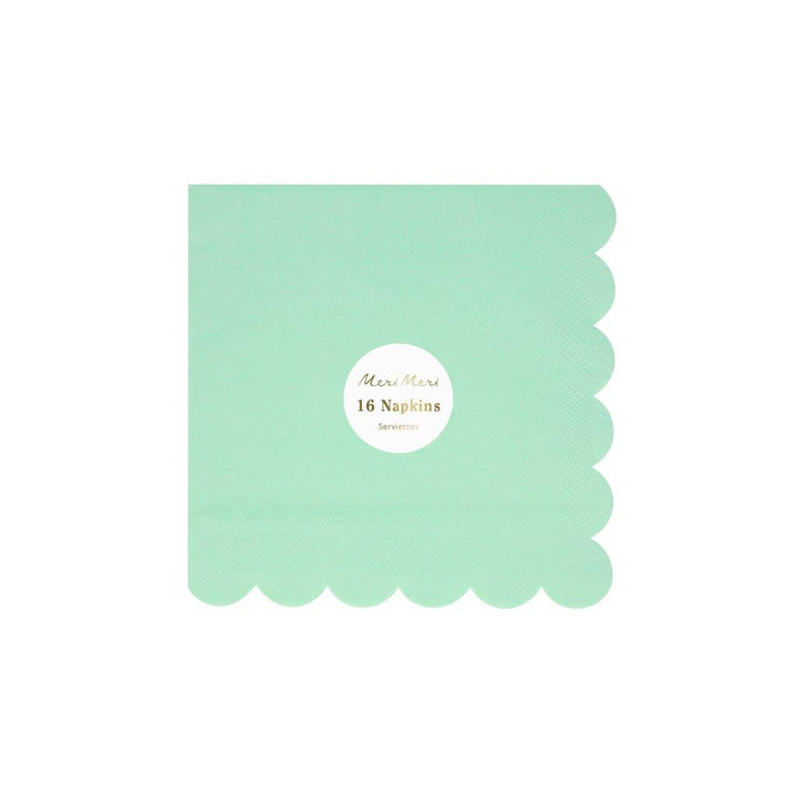 Sea Foam Green Servietten klein
