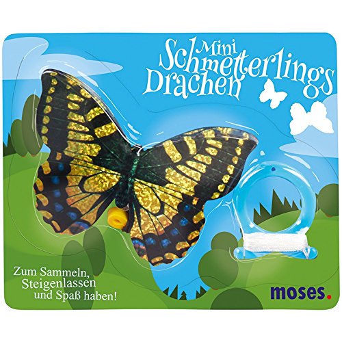 Schmetterlingsdrache