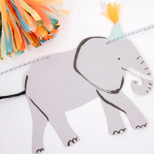 Safari Partybox (8 Personen)