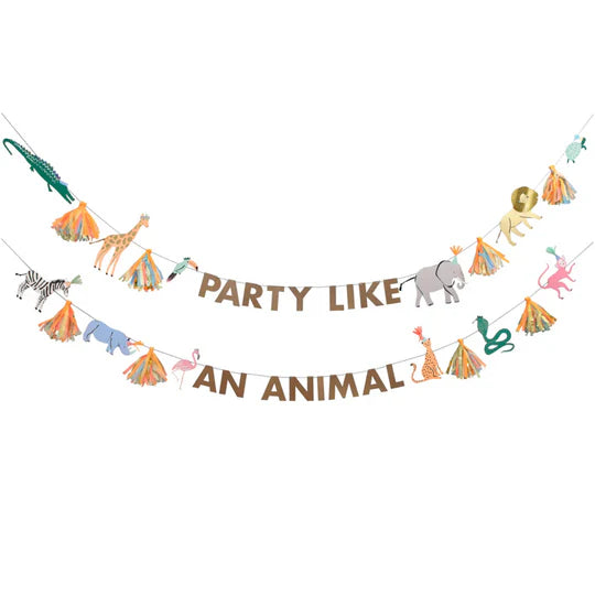 Safari Partybox (8 Personen)