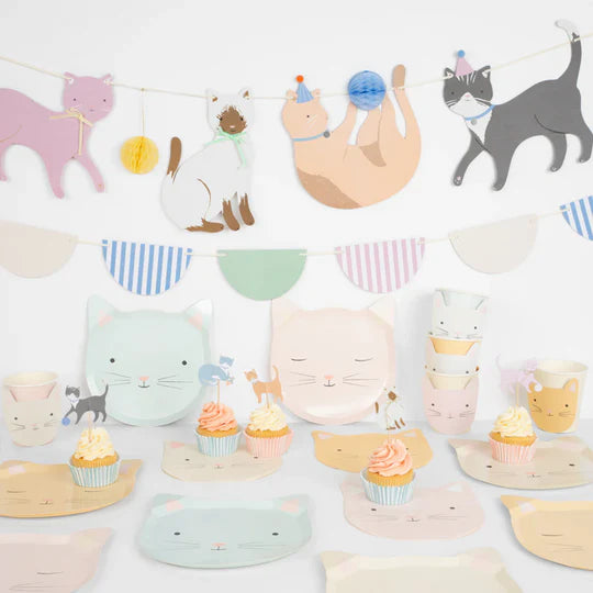 Cute Kittens Partybox (8 Personen)