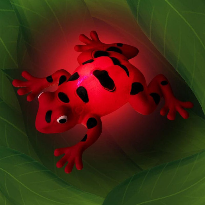 Stretchy Light up Kröte