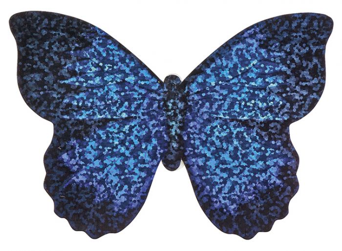 Mini Schmetterlings Drache