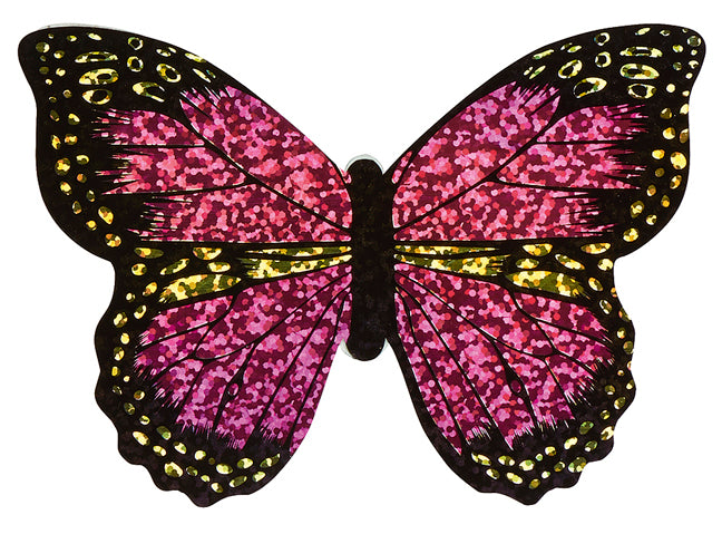 Mini Schmetterlings Drache