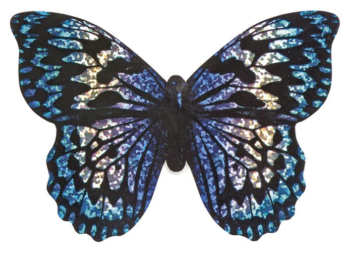 Mini Schmetterlings Drache