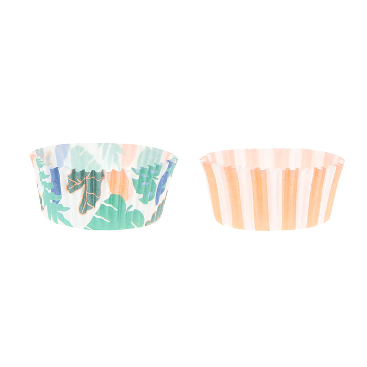 Jungle Jamboree Cupcake Set