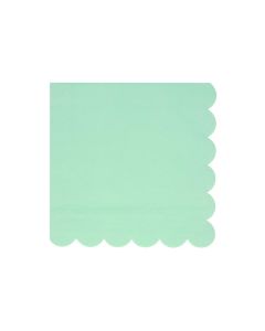 Sea Foam Green Servietten gross