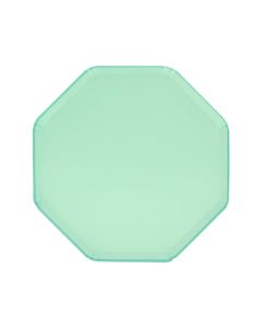 Sea Foam Green Pappteller klein