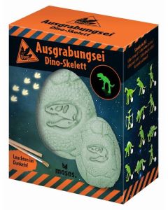 Dino im Ei zum Ausgraben (Moses-Verlag)